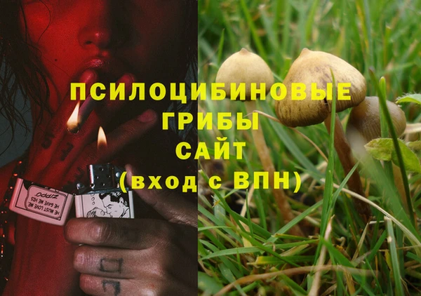 прущий лед Алексеевка