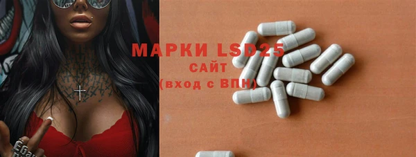 стафф Алексин