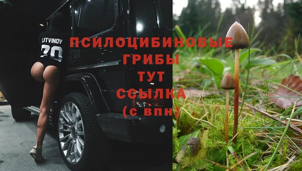 стафф Алексин