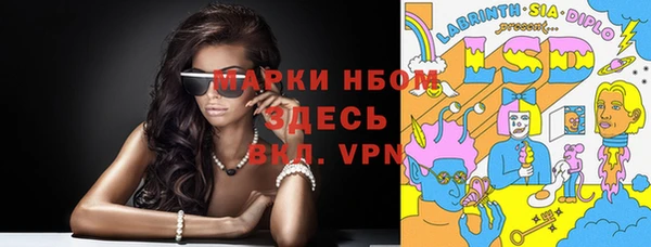 стафф Алексин