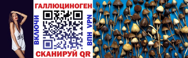 наркошоп Мамадыш mega Галлюциногенные грибы мухоморы